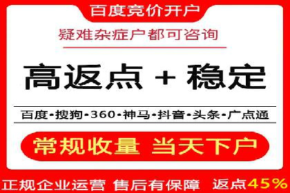 SEM服务优势案例分享